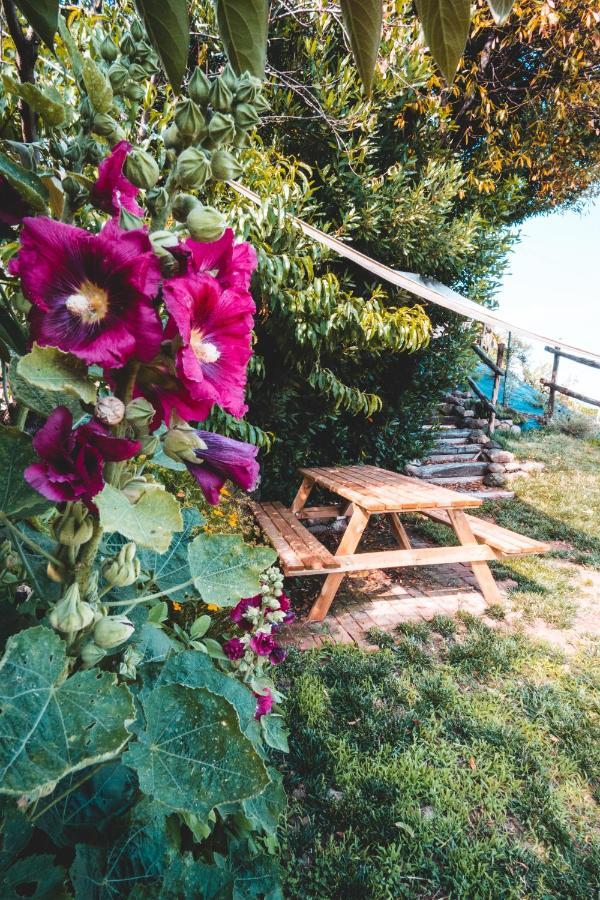 Agriturismo Dai Gobbi Fara Vicentino Екстер'єр фото